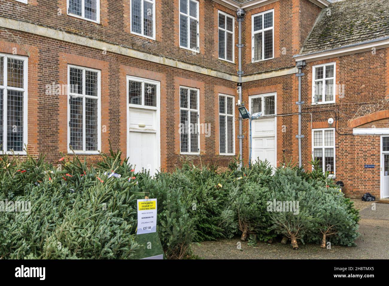 Real trees hires stock photography and images Alamy