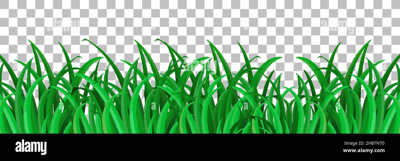 Grass and plants on transparent background for decor illustration Stock ...