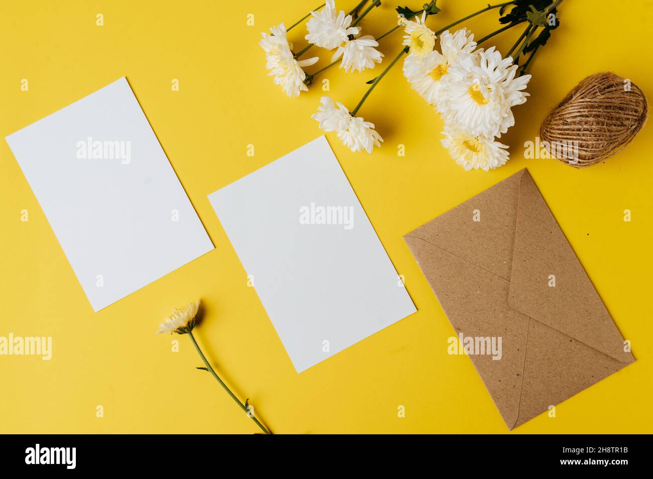 blank card with envelope and flower is placed on yellow background ...