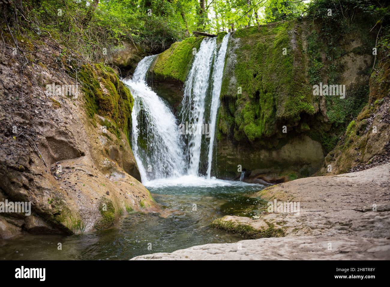Beautiful waterfall in forest among trees Stock Photo - Alamy