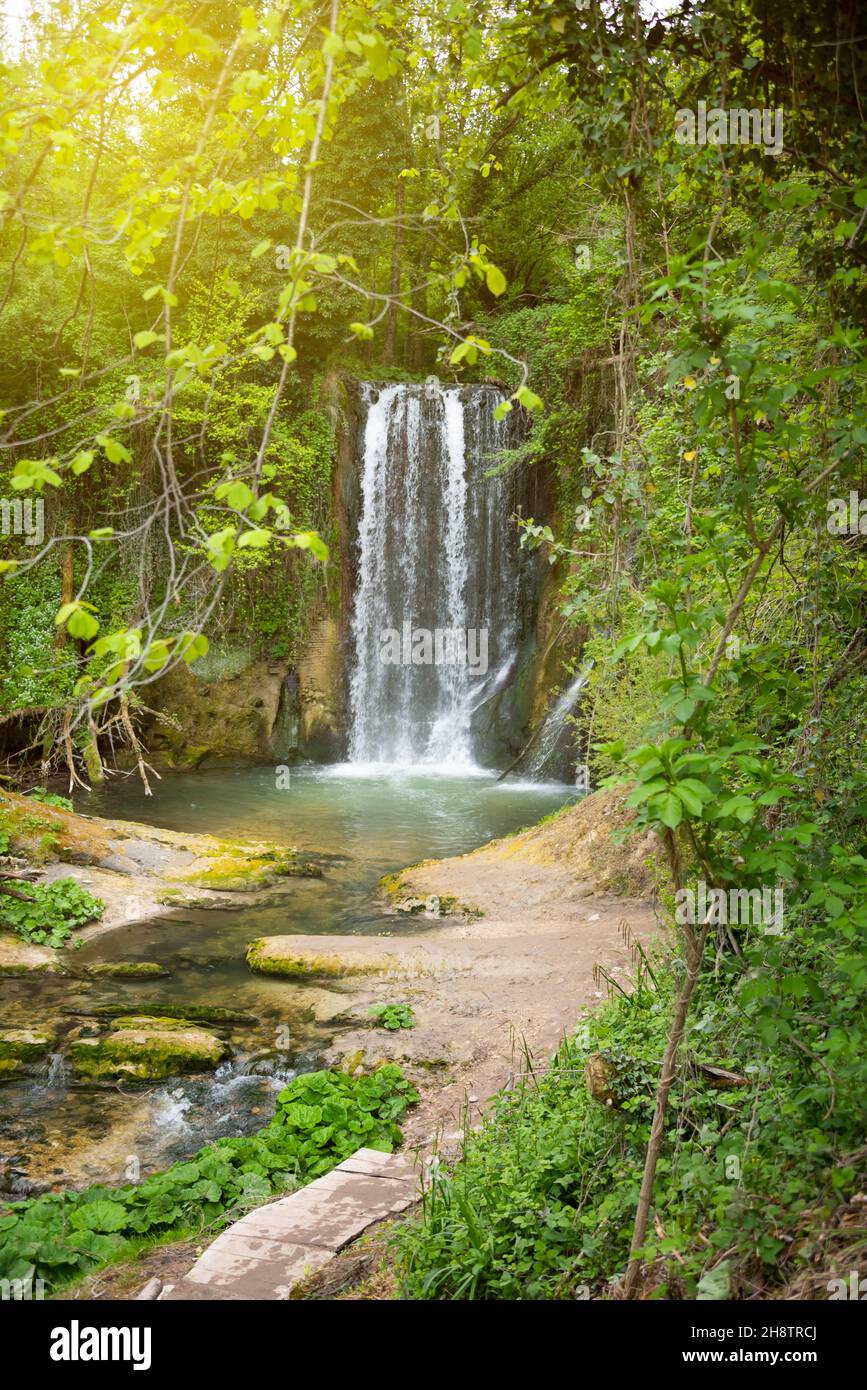 Beautiful waterfall in forest among trees Stock Photo - Alamy
