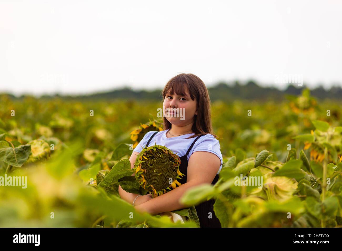 Girl in the sunflowers field Stock Photo - Alamy