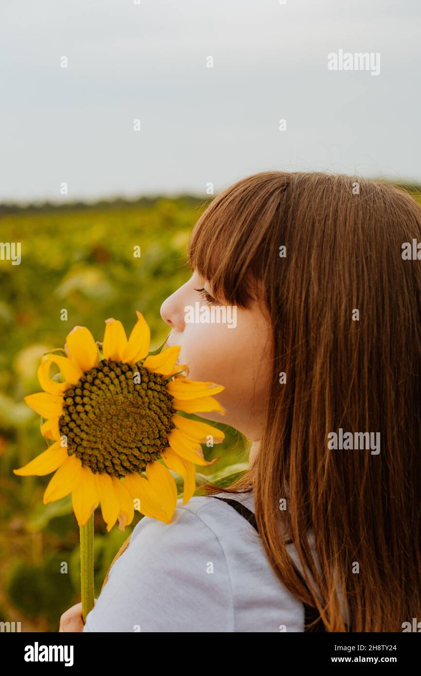 Vertical closeup of the girl in the sunflowers field Stock Photo - Alamy