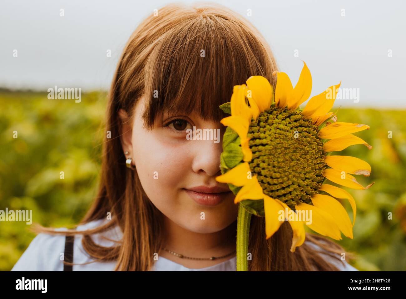 Closeup of the girl in the sunflowers field Stock Photo - Alamy