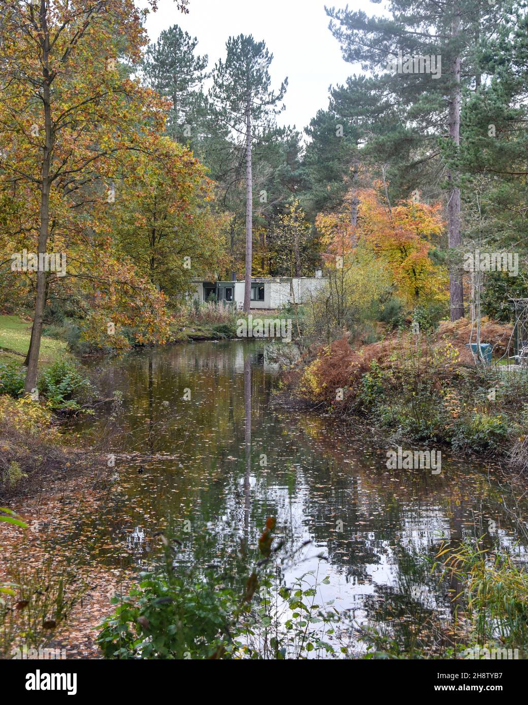 Sherwood Forest, UK - 20 Nov, 2021: Lakeside villas at the Centre Parcs holiday village in Nottinghamshire, England Stock Photo