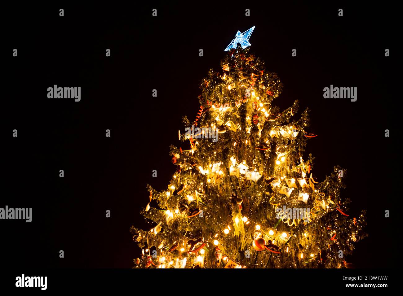 Russia st petersburg christmas tree hires stock photography and images