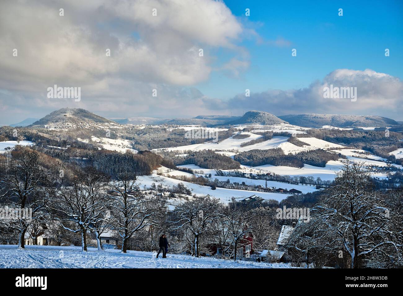 The trees on the mount of Hohenstaufen are covered in thick frost creating a sublime and hideous atmosphere on a cold winters day. Stock Photo