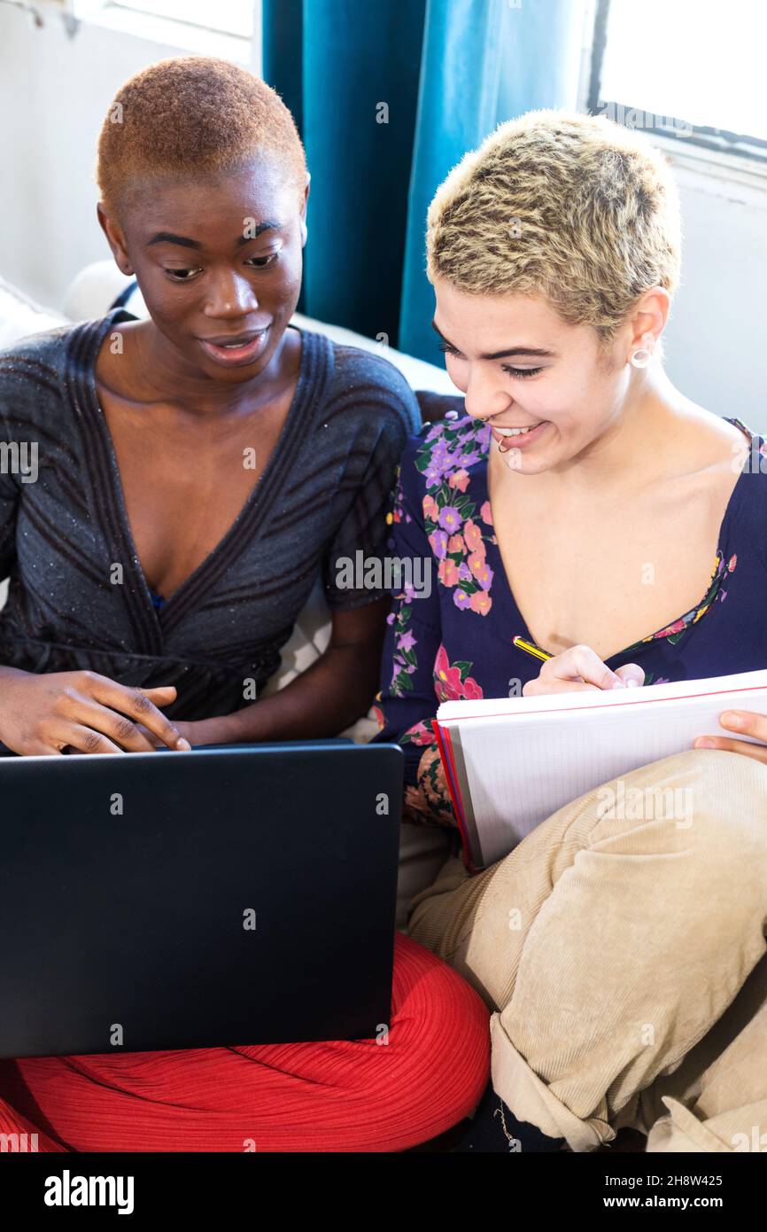 Smiling females using laptop while sitting on sofa at home Stock Photo ...