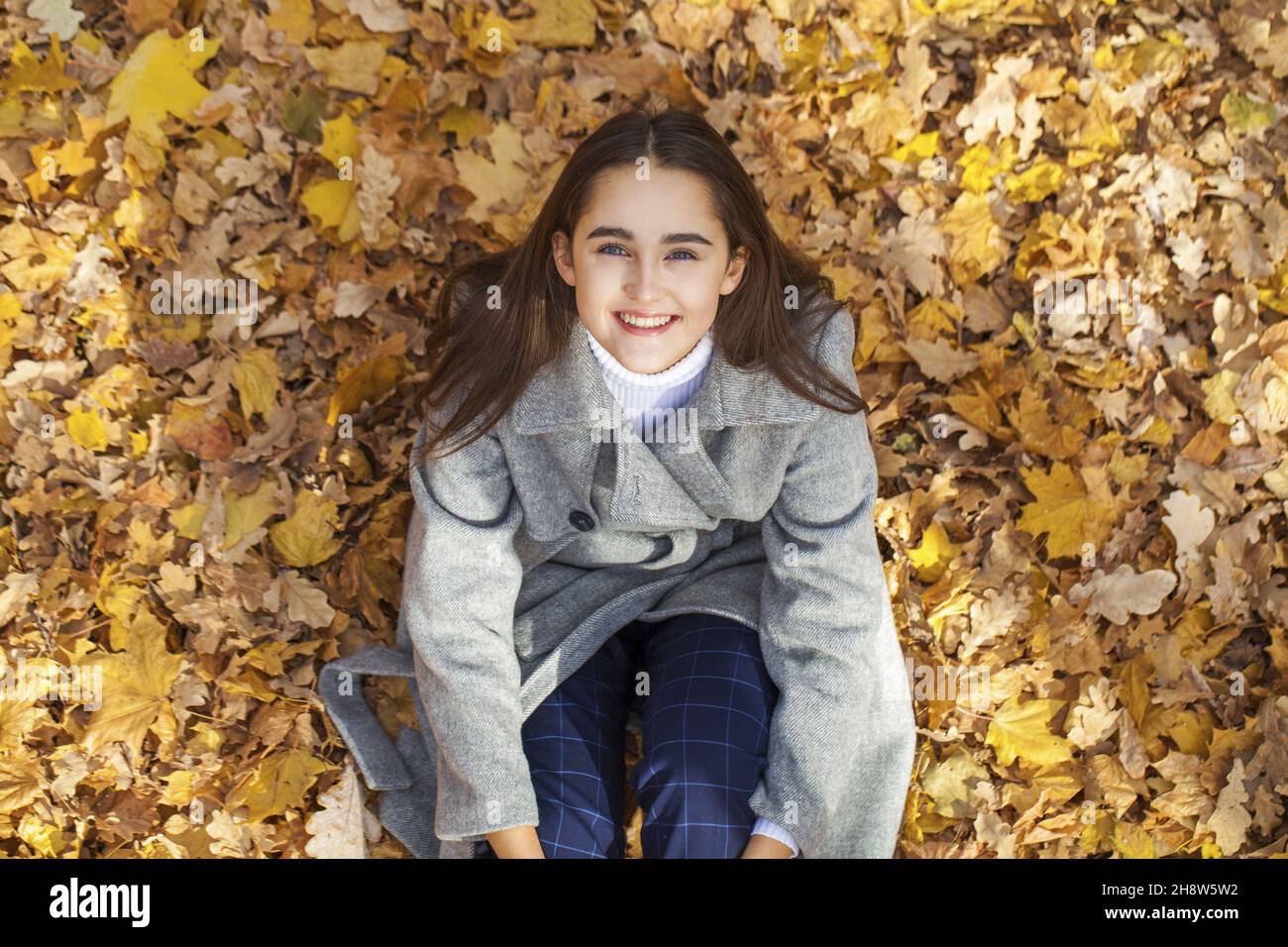 Top view portrait of young beautiful woman lying in autumn leaves Stock ...