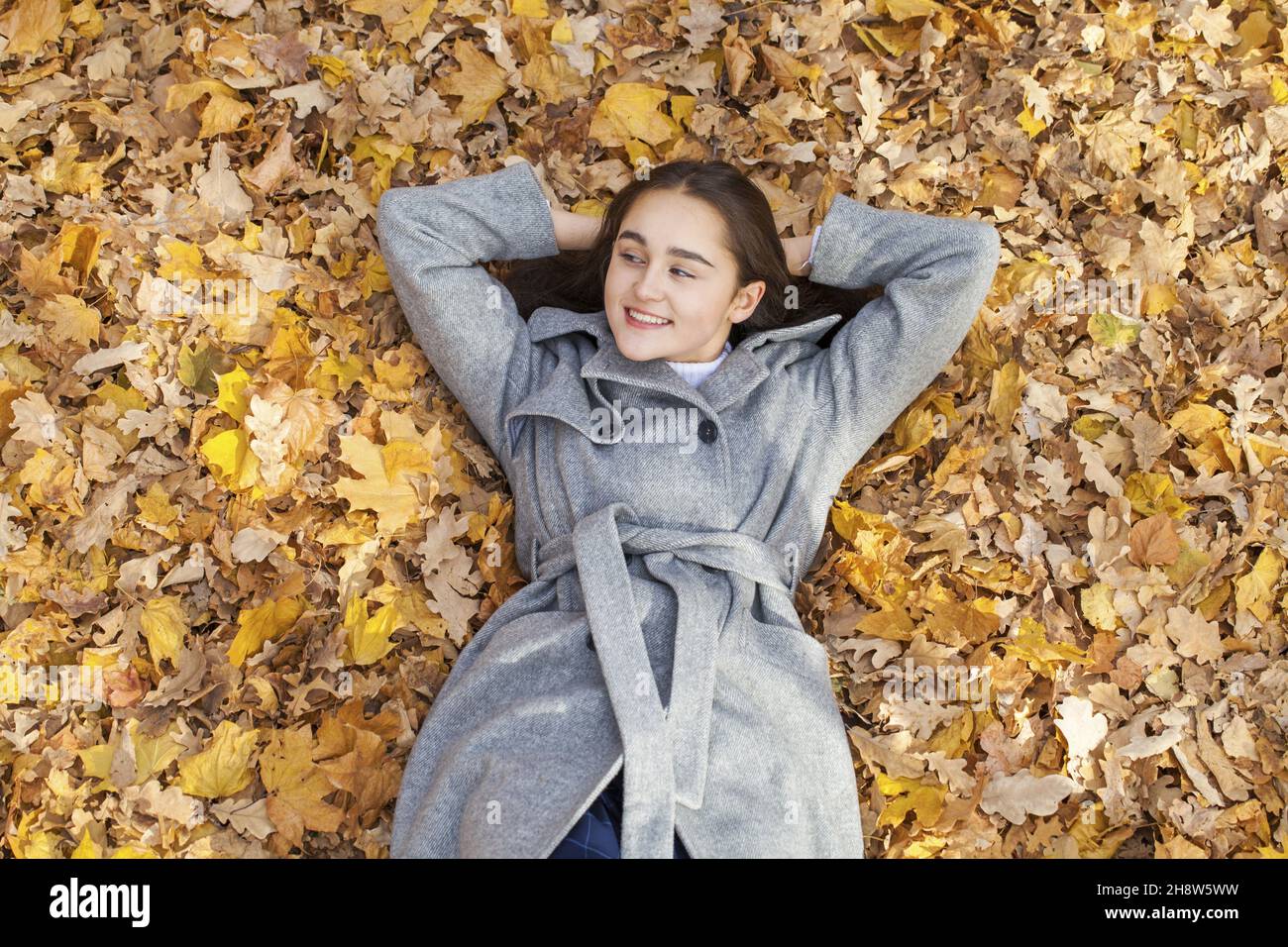 Top view portrait of young beautiful woman lying in autumn leaves Stock ...