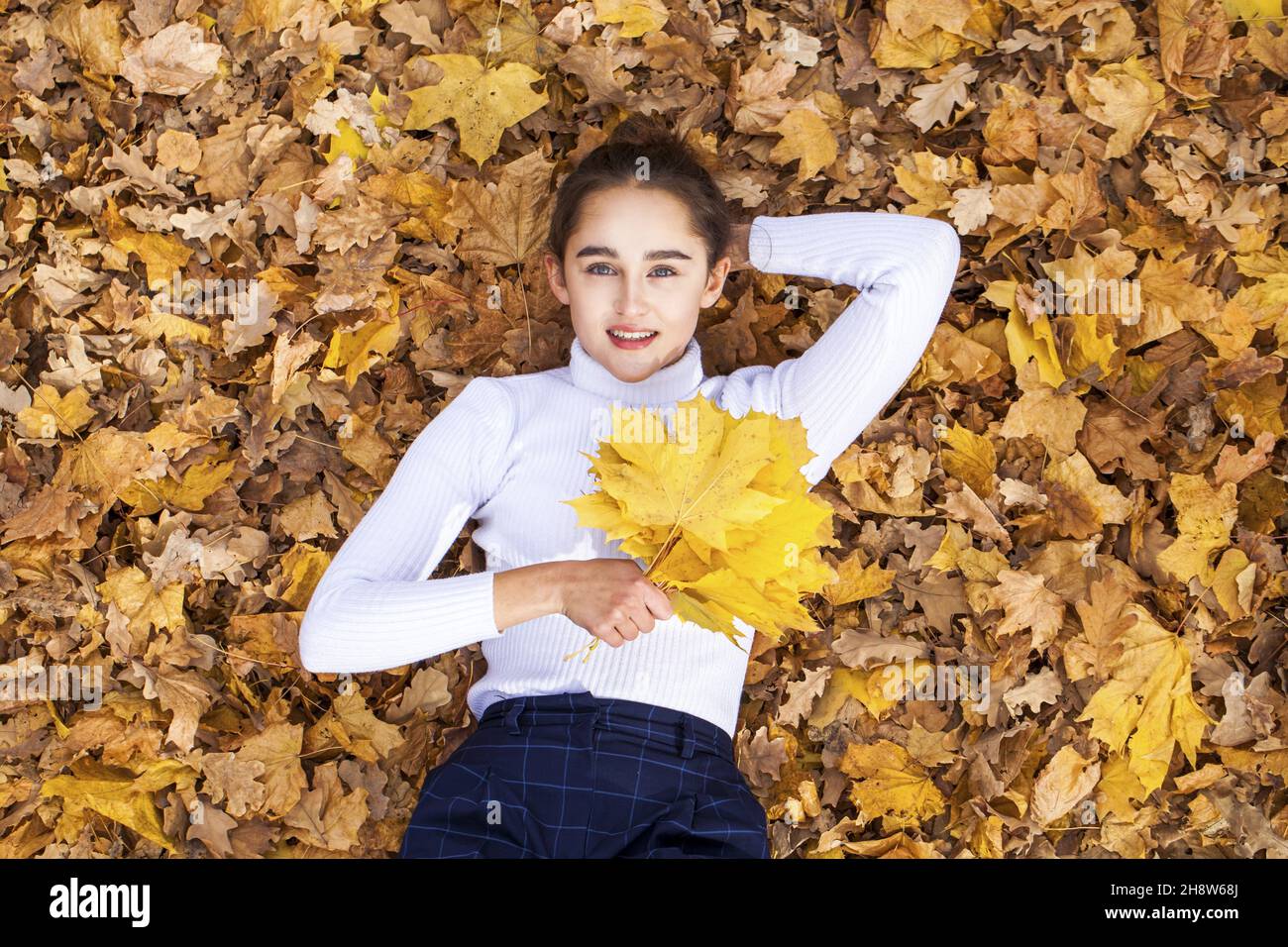Top view portrait of young beautiful woman lying in autumn leaves Stock ...