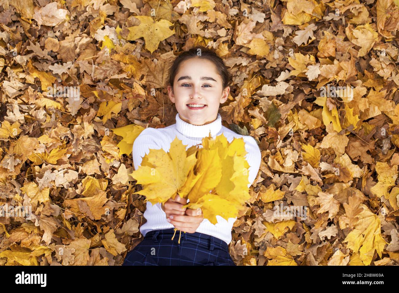 Top view portrait of young beautiful woman lying in autumn leaves Stock ...