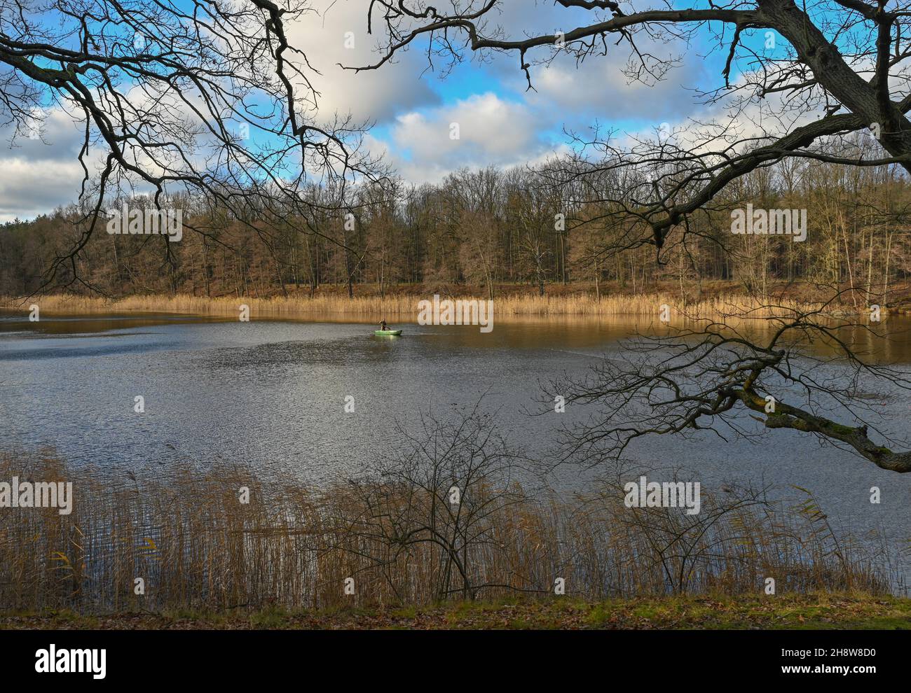 Famous surgeon hires stock photography and images Alamy