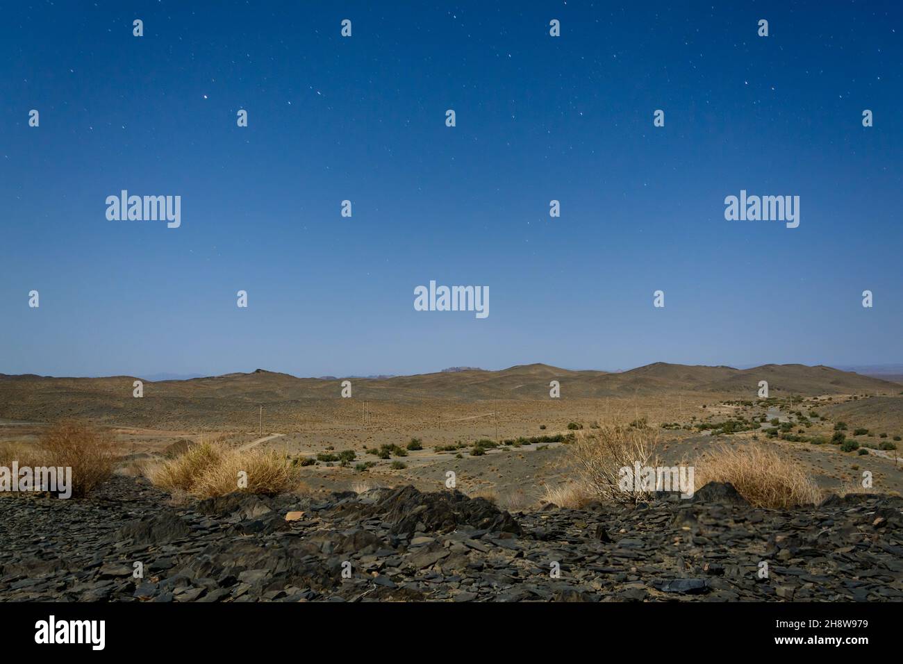night view from plants and hills in desert with moon light and stars in iran Stock Photo