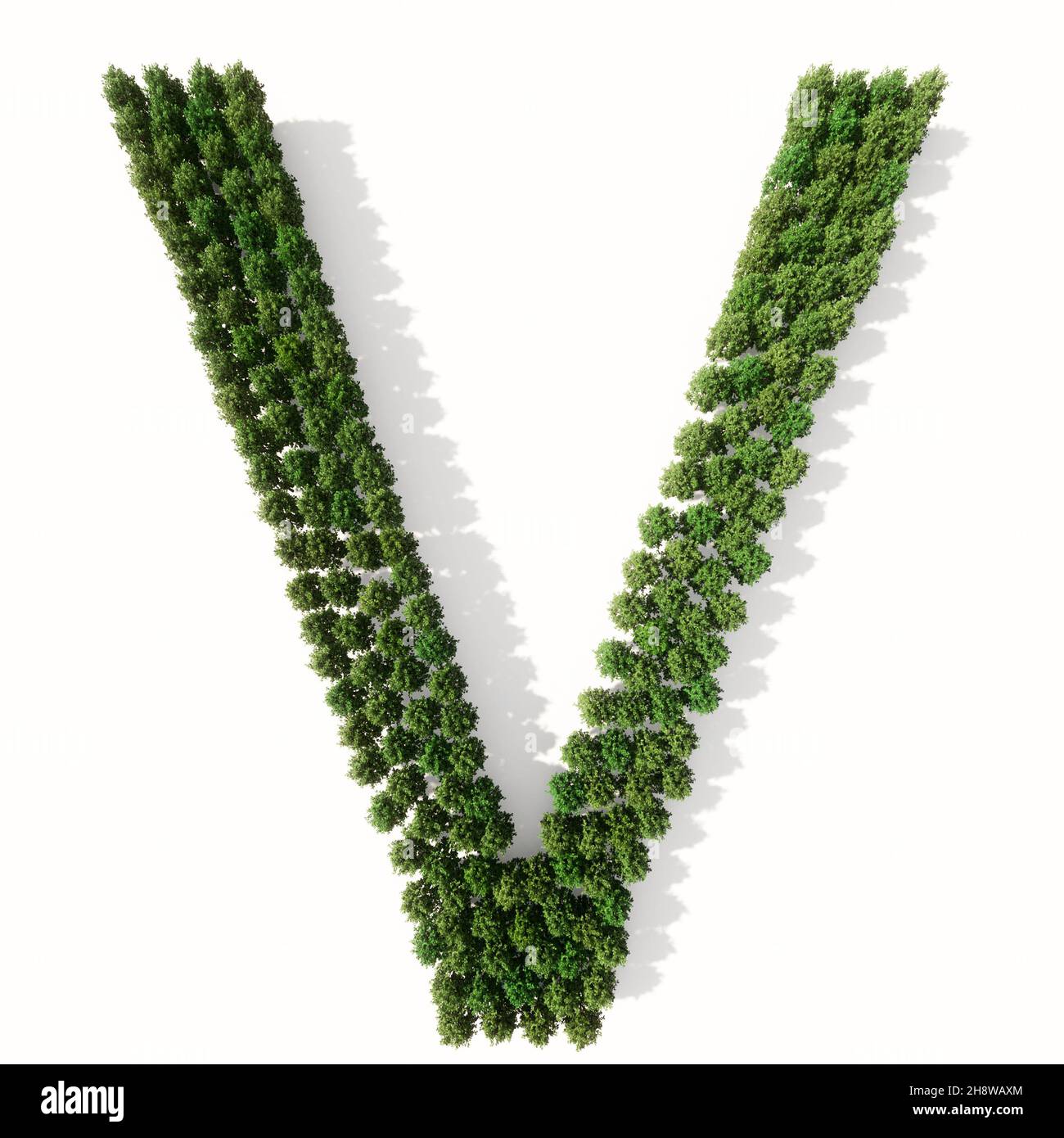Concept or conceptual group of green forest tree isolated on white ...