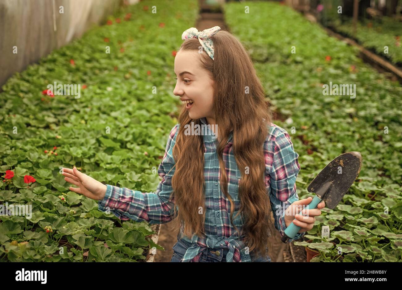 surprised happy teen girl florist care pot plants in greenhouse ...