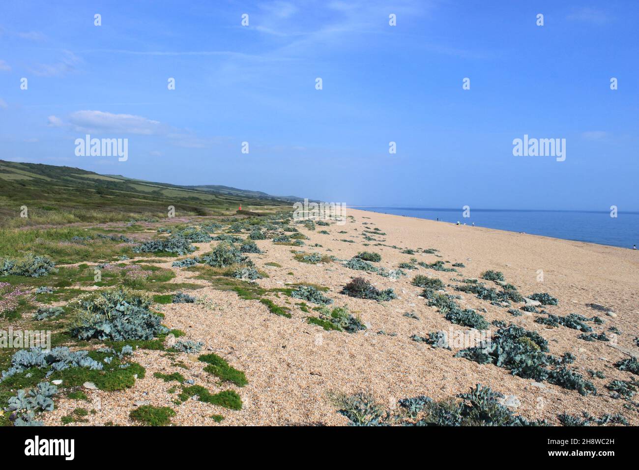 cogden-beach-the-england-south-west-coast-path-jurassic-coast-dorset