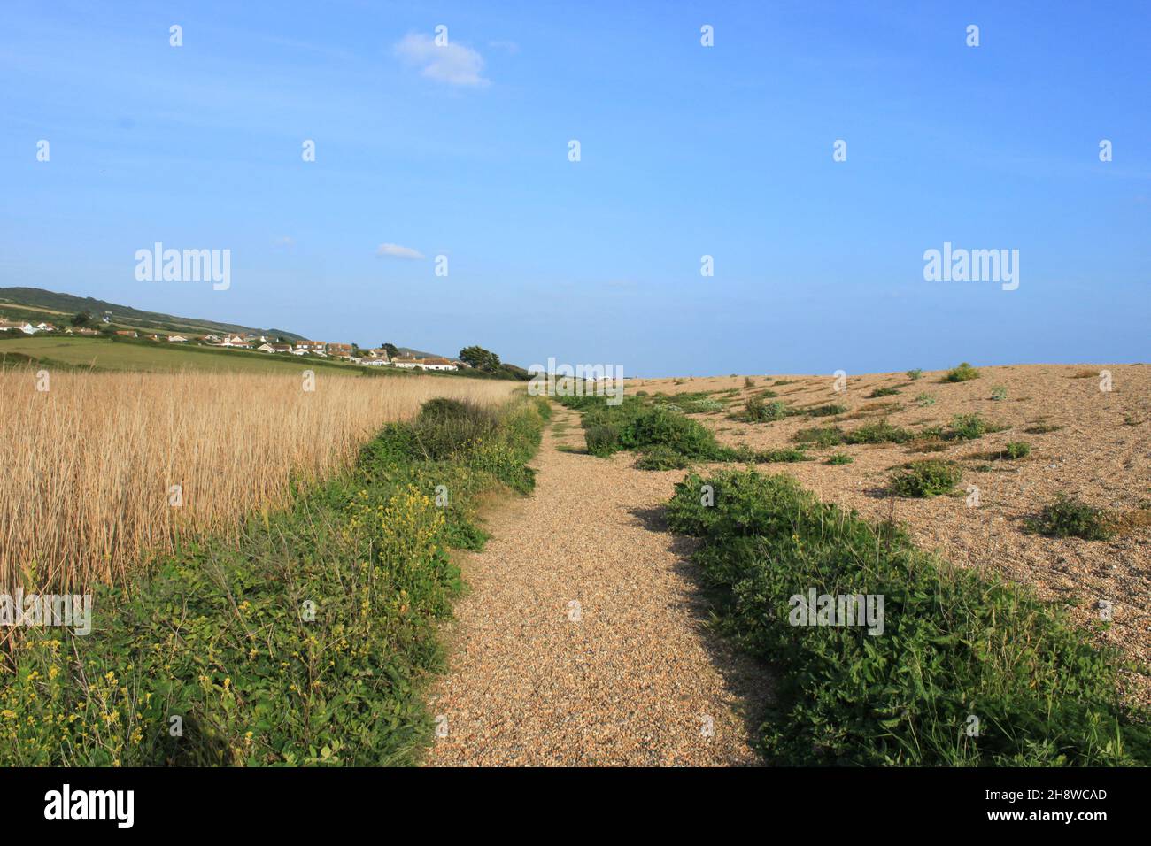 Chesil Beach. The England south west coast path. Jurassic Coast. Dorset