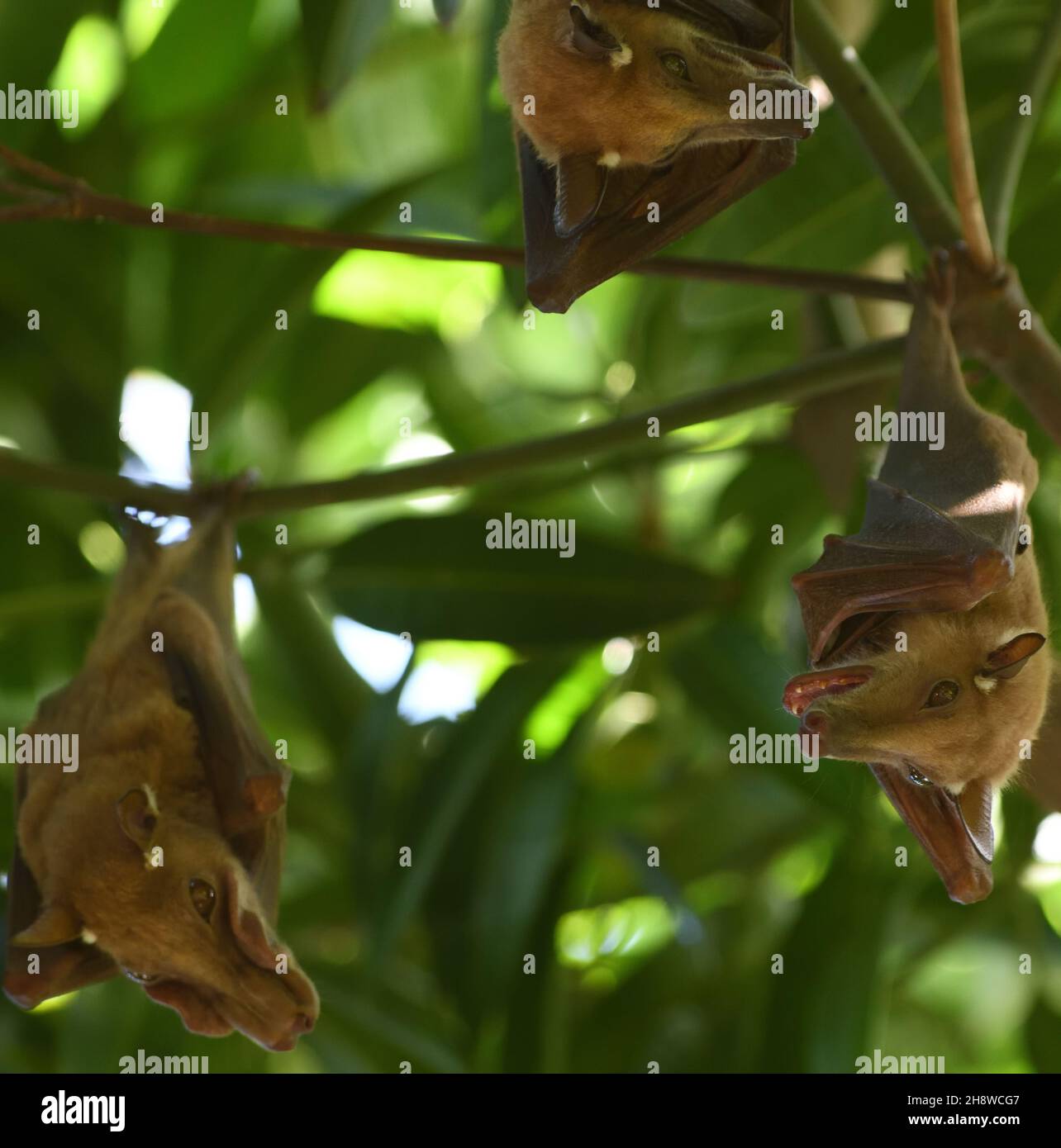 My Image 26