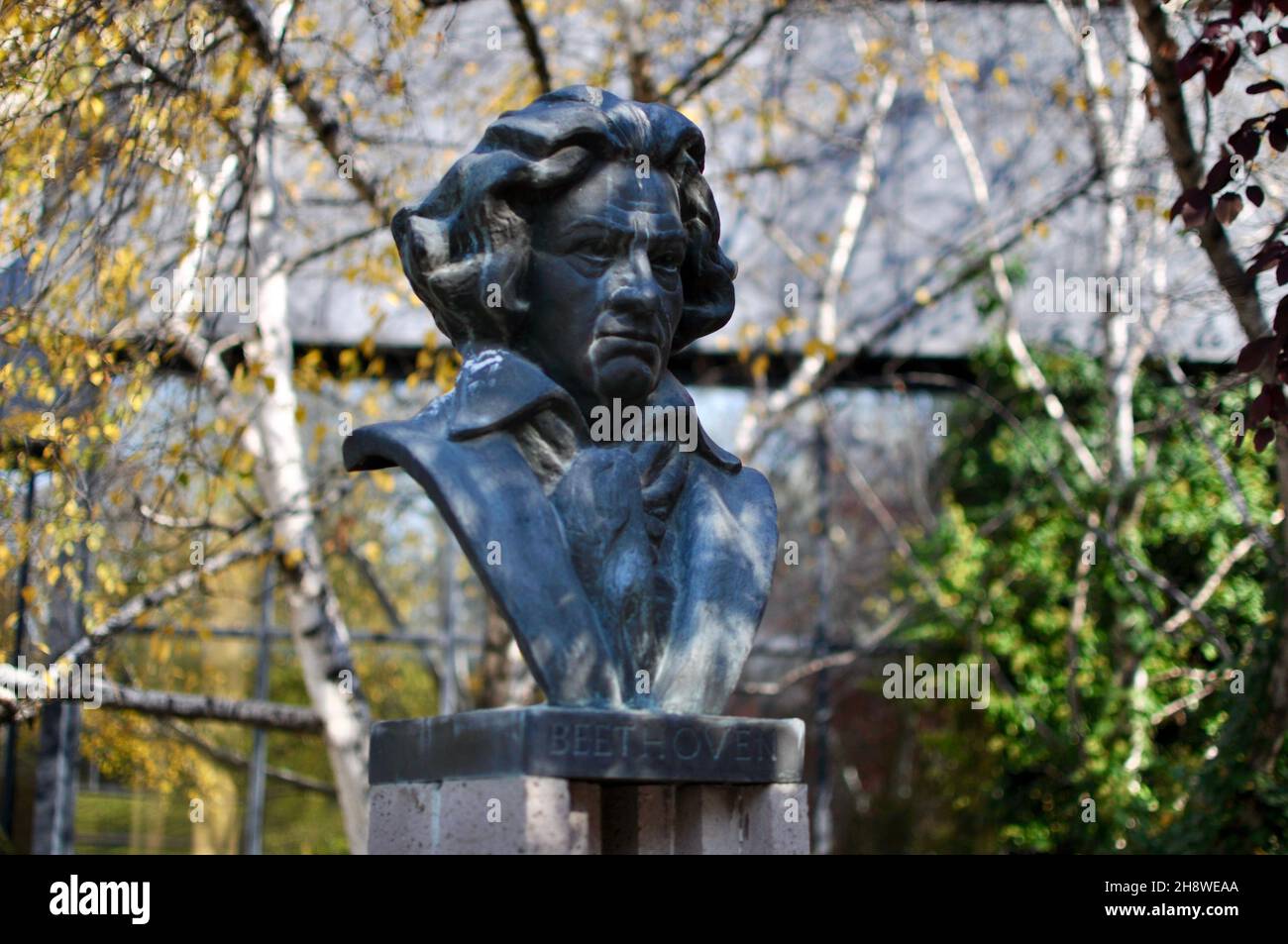 The bronze bust of Beethoven at the METU greenery park. Beethoven is German composer and pianist, one of the most admired composers and bridged Stock Photo