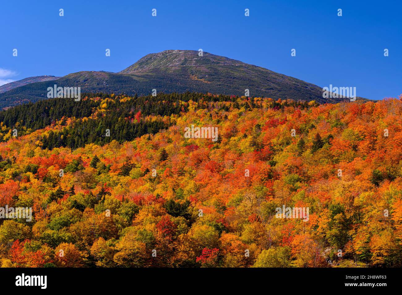 Autumn foliage in the deciduous forest on New England hillsides, Mount Washington, Pinkham Notch, New Hampshire, USA Stock Photo