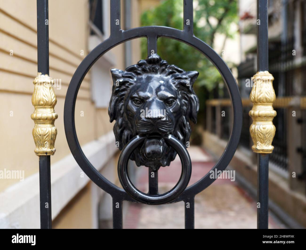 metal handle in the form of a lion's head with a ring on the forged gate  close-up Stock Photo - Alamy