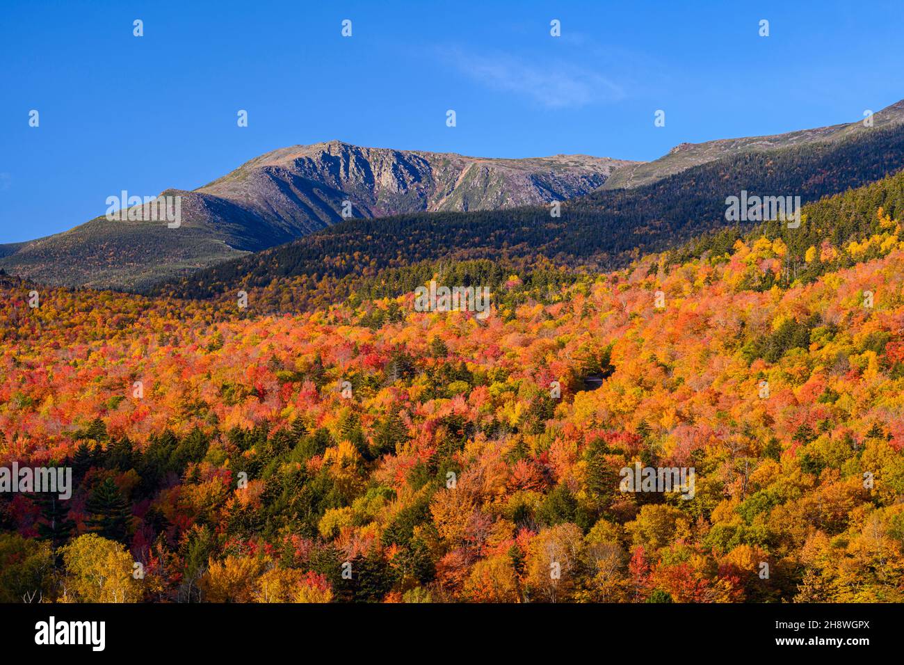 Autumn foliage in the deciduous forest on New England hillsides, Green's Grant, New Hampshire, USA Stock Photo