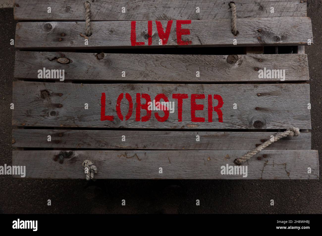 Live lobster trap box hires stock photography and images Alamy