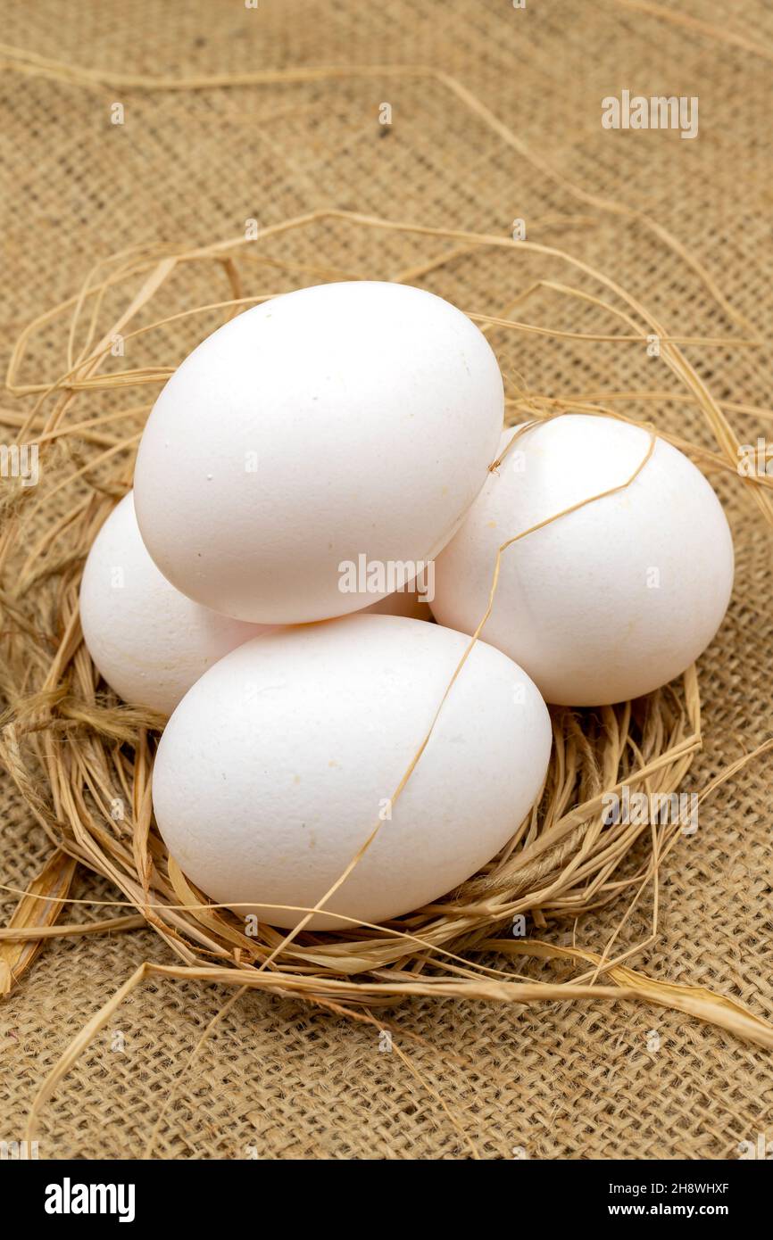 18 Duck Egg Cartons Stock Photos, High-Res Pictures, and Images