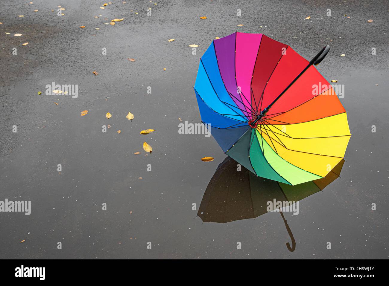 A multi-colored umbrella in a puddle. Stock Photo