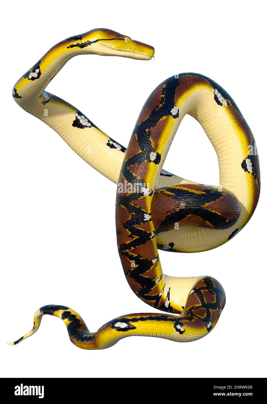 3d render snake hi-res stock photography and images - Alamy