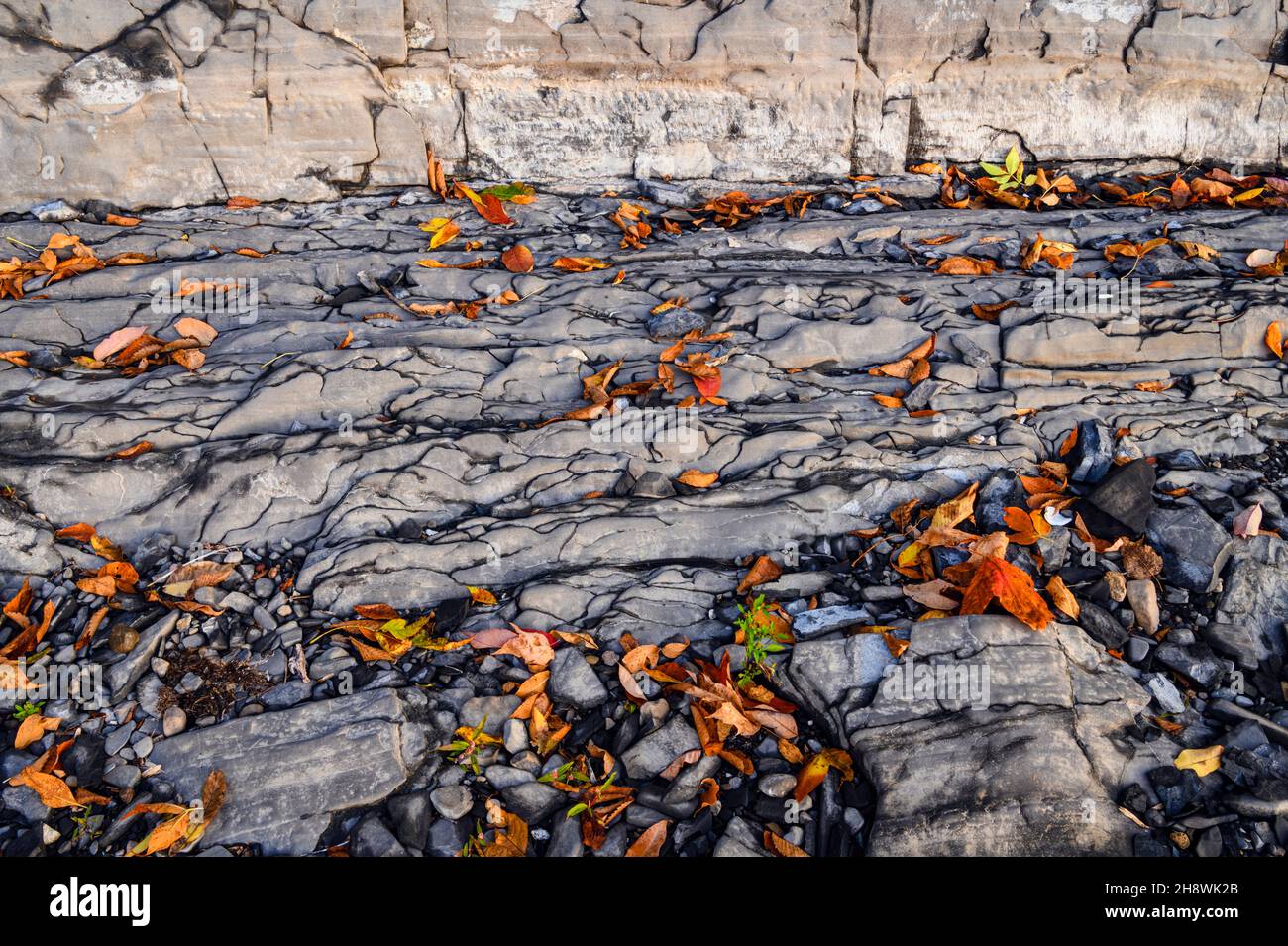 Shale rock shoreline on Lake Champlain, Grand Isle State Park, Vermont