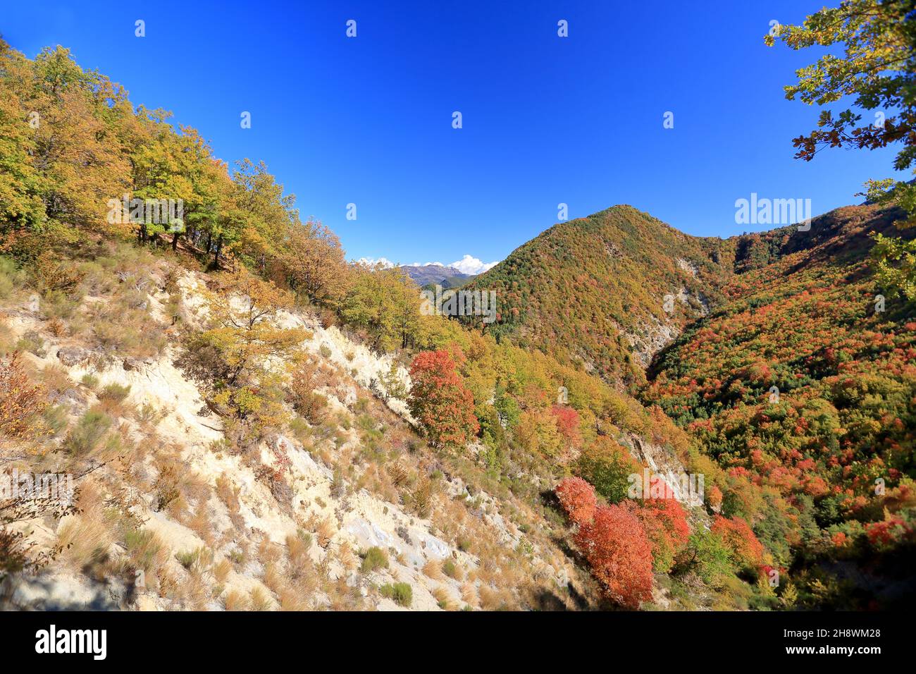 Vallee du haut Esteron, Parc regional des Prealpes d'Azur,  Alpes Martimes, 06, Region sud Stock Photo