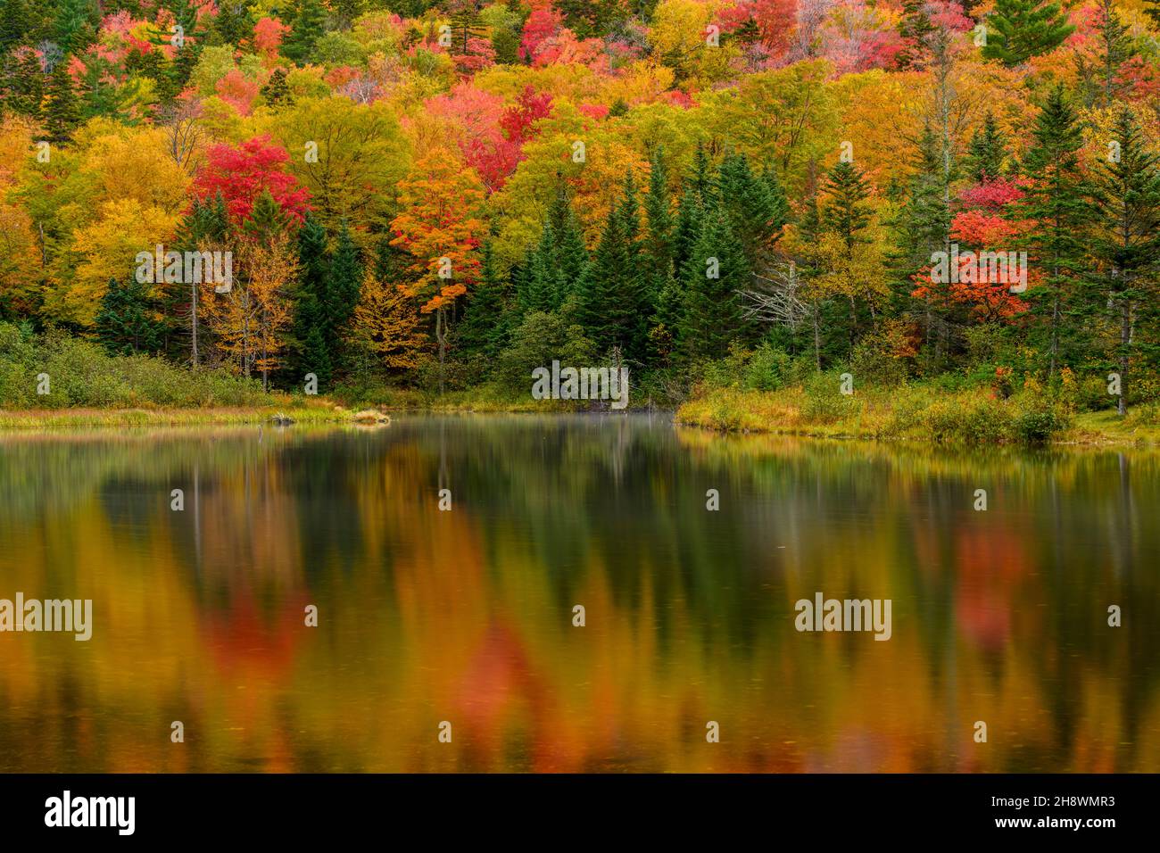 Reflections in Willey Pond, Crawford Notch State Park, New Hampshire, USA Stock Photo