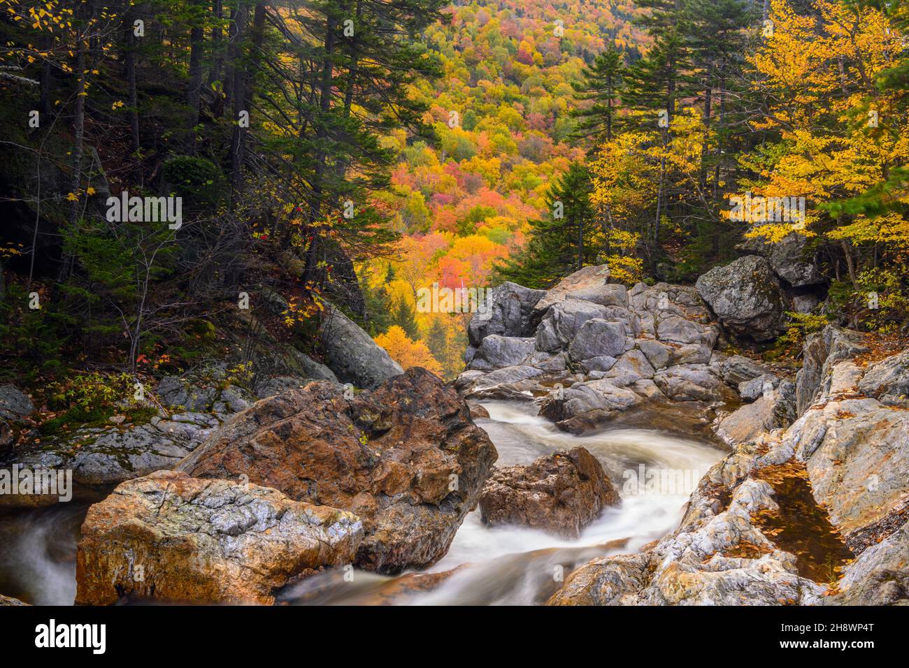 Autumn foliage on a mountainside behind the Ellis River above Glen Ellis Falls, Highway 16 near Pinkham Notch, New Hampshire, USA Stock Photo