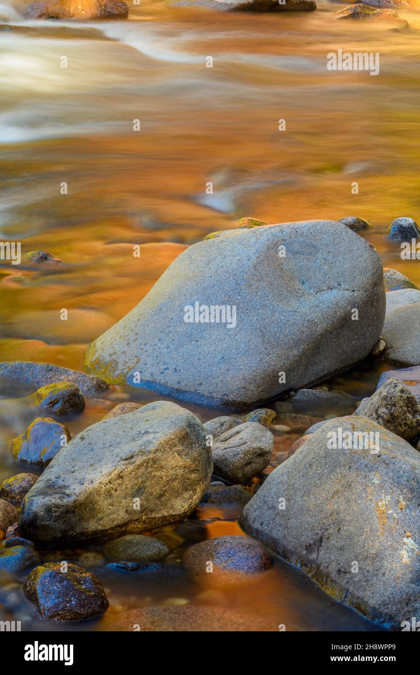 Autumn foliage reflections in the Swift River, Kankamagus Highway, New Hampshire, USA Stock Photo