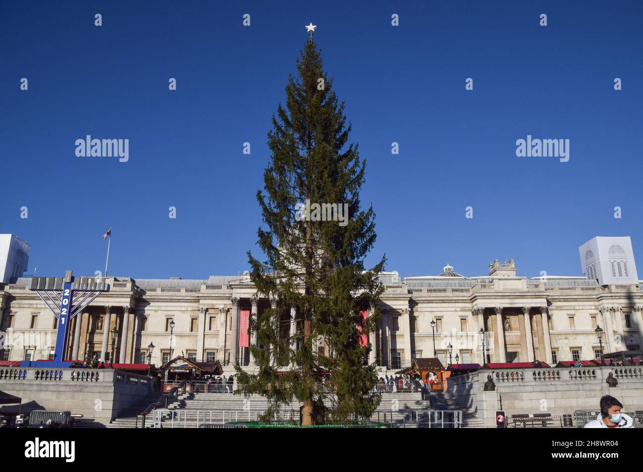 London, UK. 2nd December 2021. This year's Christmas tree at Trafalgar  square has been criticised for being substandard, sparse and thin. The  trees have been sent each year to Britain as a