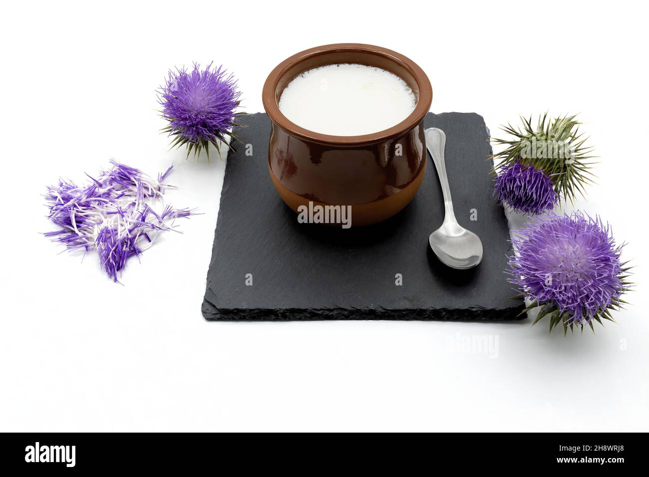 Showing a totally homemade curd made with natural thistle rennet on ...