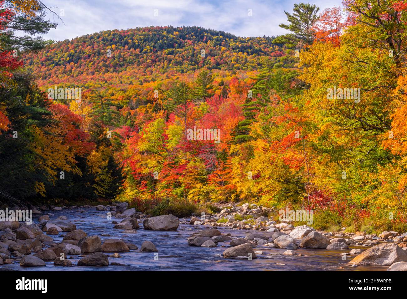 Swift River, Swift River and autumn foliage, New Hampshire, USA Stock Photo