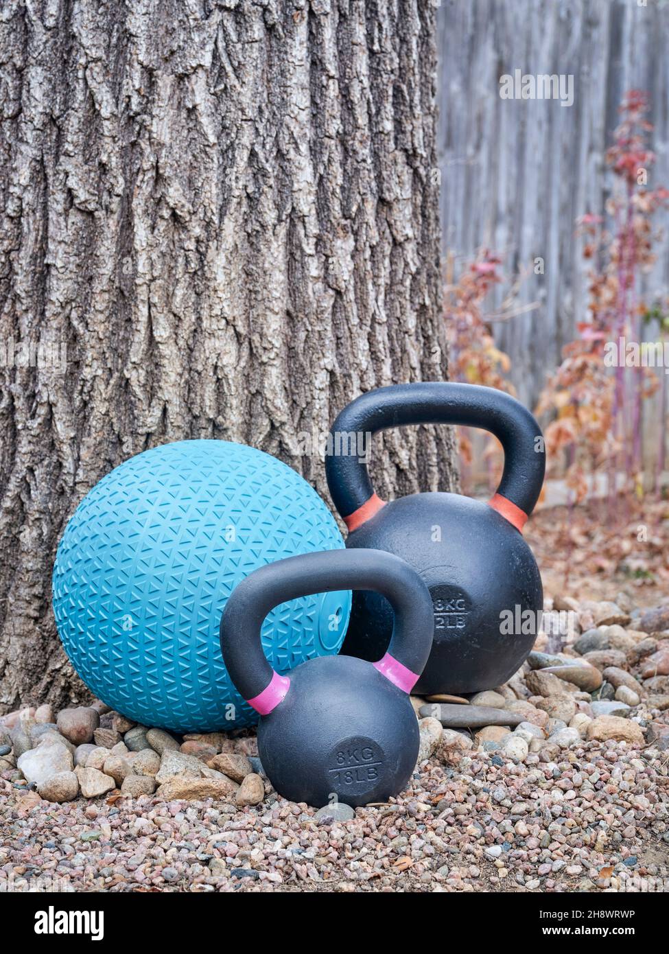 heavy iron kettlebells and slam )or medicine) ball in a backyard home