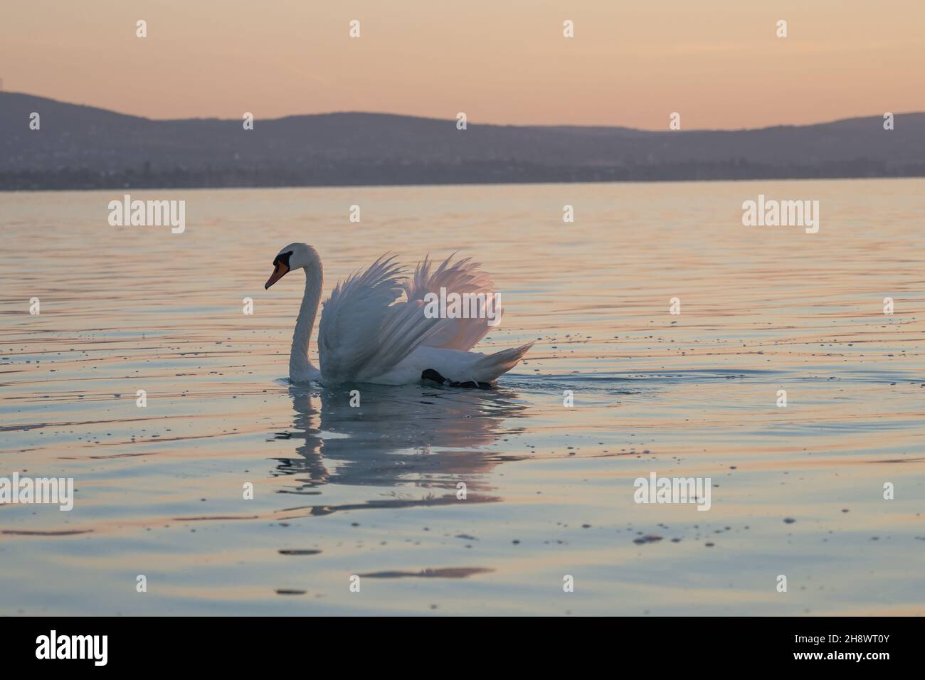 A new day in paradise Stock Photo - Alamy
