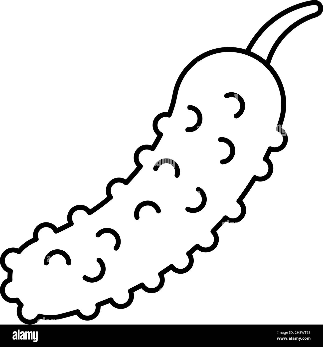 Cucumbers vector Black and White Stock Photos & Images - Alamy