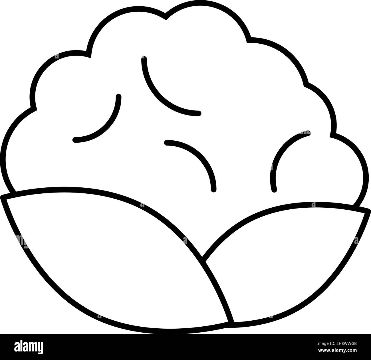 Cauliflower Vegetable Icon Vector Outline Stock Vector Image & Art - Alamy