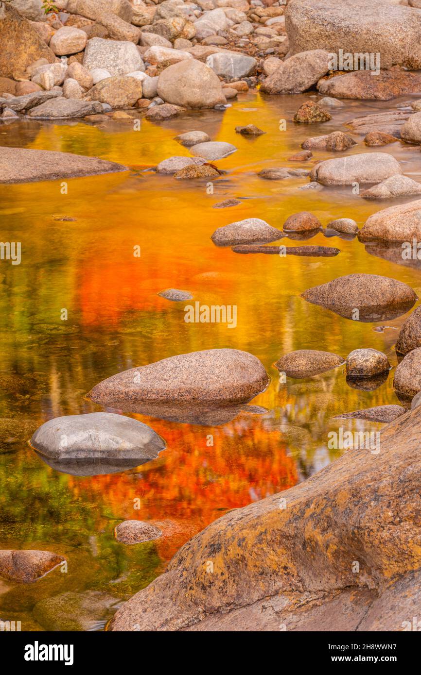 Autumn reflections in a quiet pool of the Swift River, Lower Falls Scenic Area, Albany, New Hampshire, USA Stock Photo