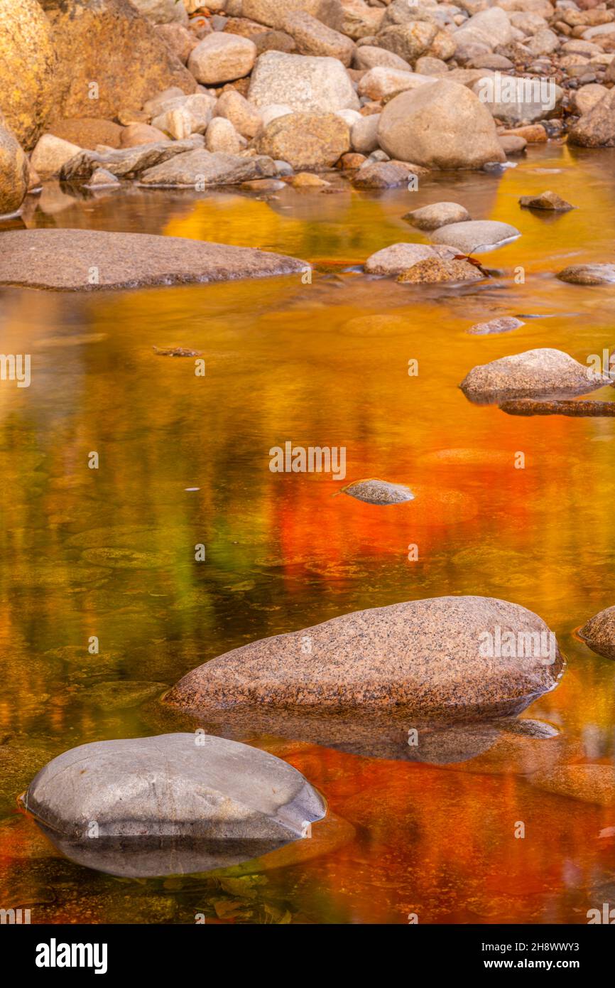 Autumn reflections in a quiet pool of the Swift River, Lower Falls Scenic Area, Albany, New Hampshire, USA Stock Photo