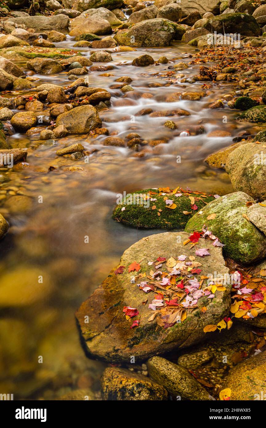 Sabbaday Brook in autumn, Waterville Valley, New Hampshire, USA Stock Photo