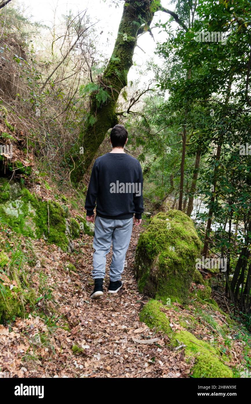 Back view of a young man walking through the forest Stock Photo - Alamy