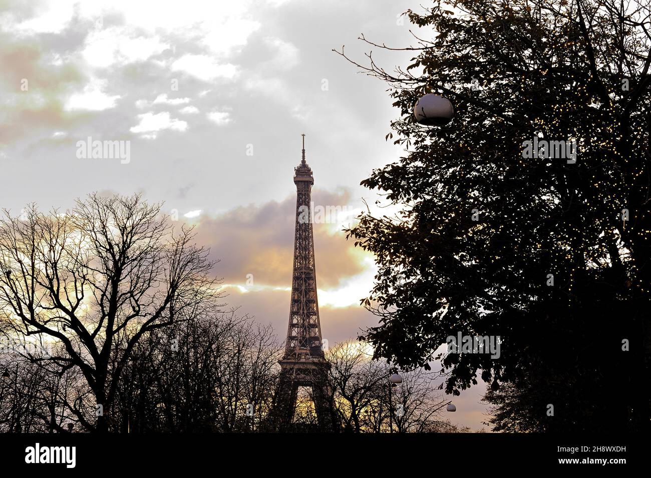 France, Paris (75) 8th arrondissement, 2021 Christmas illuminations, view on Tour Eiffel from Avenue Montaigne Stock Photo