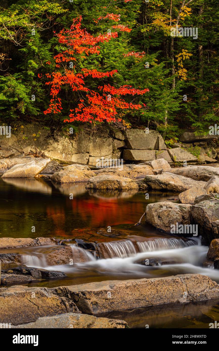 The Ellis River in autumn, at Jackson Falls, Jackson, New Hampshire, USA Stock Photo