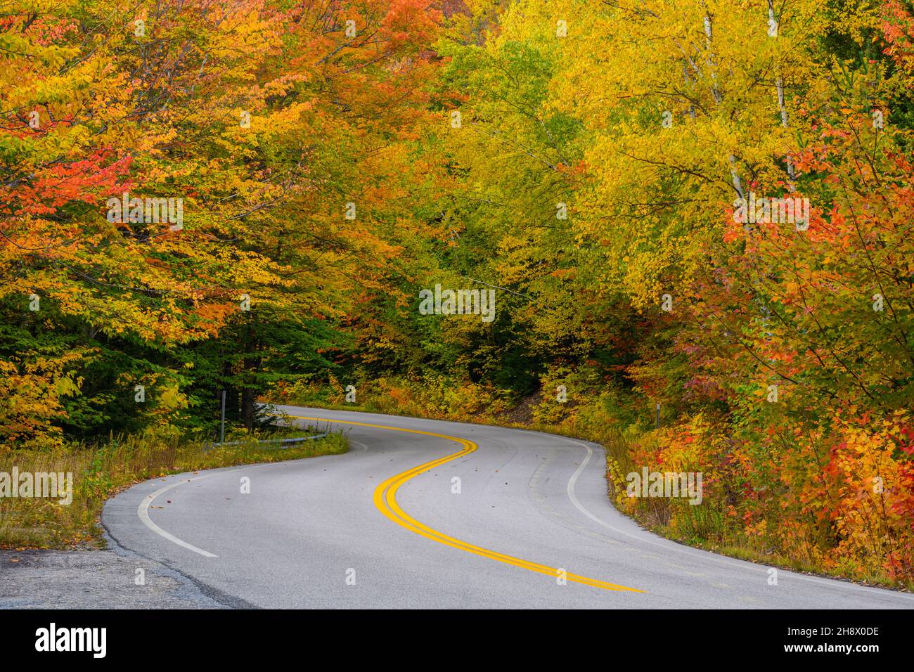 Bear Notch Road in autumn, New Hampshire, USA Stock Photo